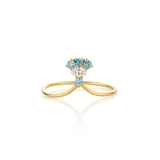 Pride Ring