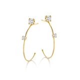 Satellite Hoops